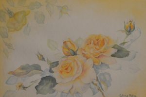 DSC_1583 (2)