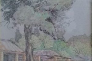 Synnyside Guest House Clarens 47x32
