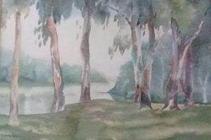 Vosloo Park, Vereeniging 63X45